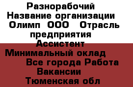 Разнорабочий › Название организации ­ Олимп, ООО › Отрасль предприятия ­ Ассистент › Минимальный оклад ­ 25 000 - Все города Работа » Вакансии   . Тюменская обл.